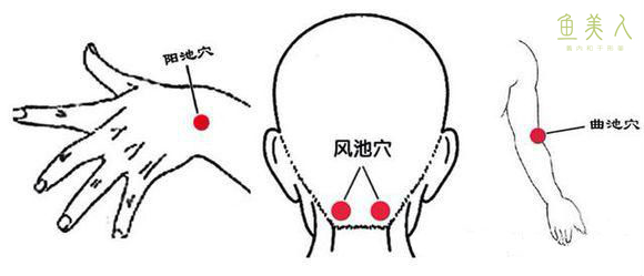 體質平衡